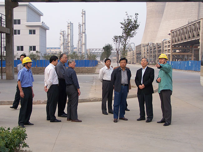 2006年10月31日，原國家環?？偩指本珠L王心芳到集團核心企業華昌化工考察